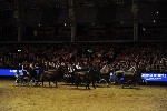Extreme - 00890
